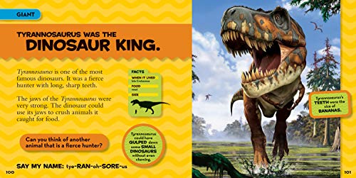 National Geographic Little Kids First Big Book of Dinosaurs (National Geographic Little Kids First Big Books),Used