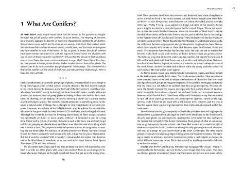 A Natural History Of Conifers,New