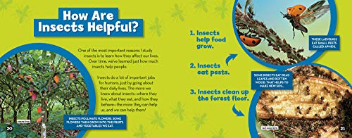 You Can Be an Entomologist: Investigating Insects with Dr. Martins,Used