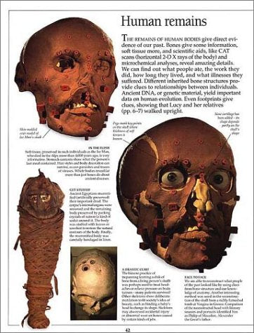 Archeology (Eyewitness Books),Used