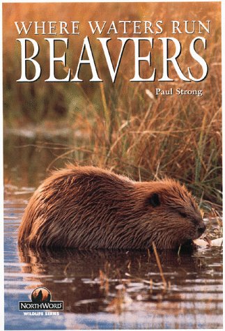 Beavers: Where Waters Run (Northword Wildlife Series),Used