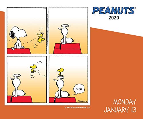 Peanuts 2020 DaytoDay Calendar,Used