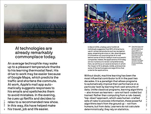 Will AI Replace Us? (The Big Idea Series) (The Big Idea Series, 6),Used