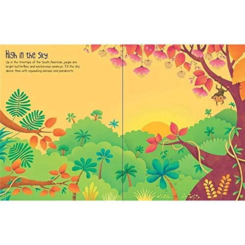 Jungle (Usborne First Sticker Book),Used