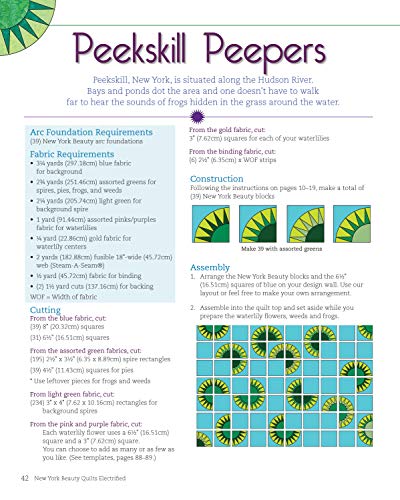 New York Beauty Quilts Electrified: 12 Fun, SkillBuilding Projects Using Easy Foundation PaperPiecing Techniques to Electrify ,Used