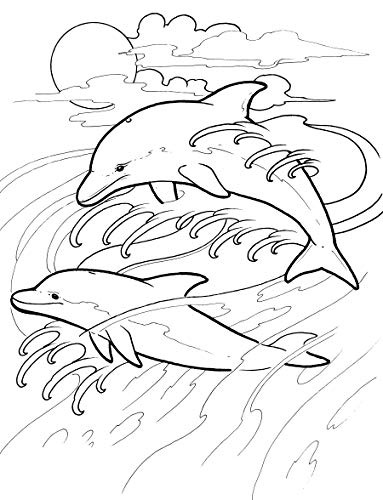 Dolphin Dream Designs Coloring Book (Dover Sea Life Coloring Books),Used