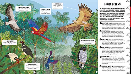 All the Way Down: Amazon Rainforest,Used