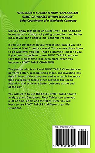 Excel Pivot Table Champion: How to Easily Manage and Analyze Giant Databases with Microsoft Excel Pivot Tables (Excel Champions),Used