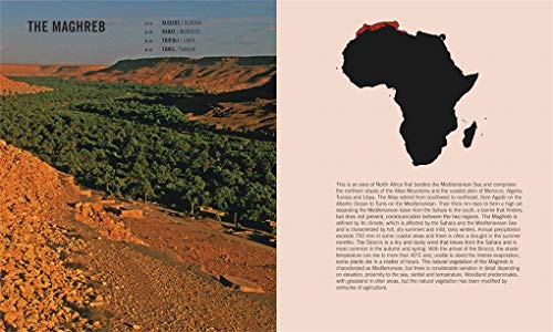 Adjaye: Africa: Architecture: Compact Edition,Used