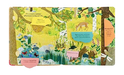 Who's Hiding in the Woods?,Used