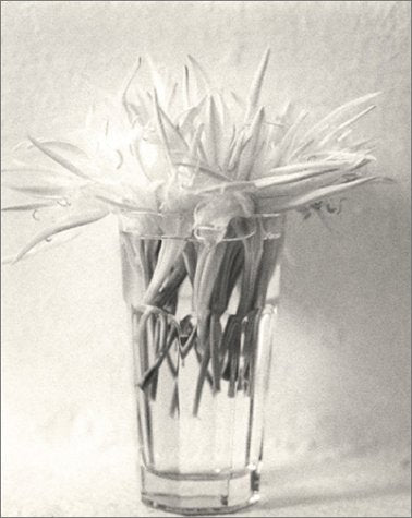 The Greek File: Images from a Mythic Land,Used