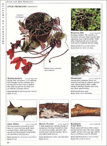 American Horticultural Society Pests and Diseases: The Complete Guide to Preventing, Identifying and Treating Plant Problems,Used