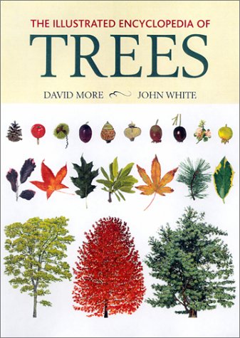 The Illustrated Encyclopedia Of Trees,New