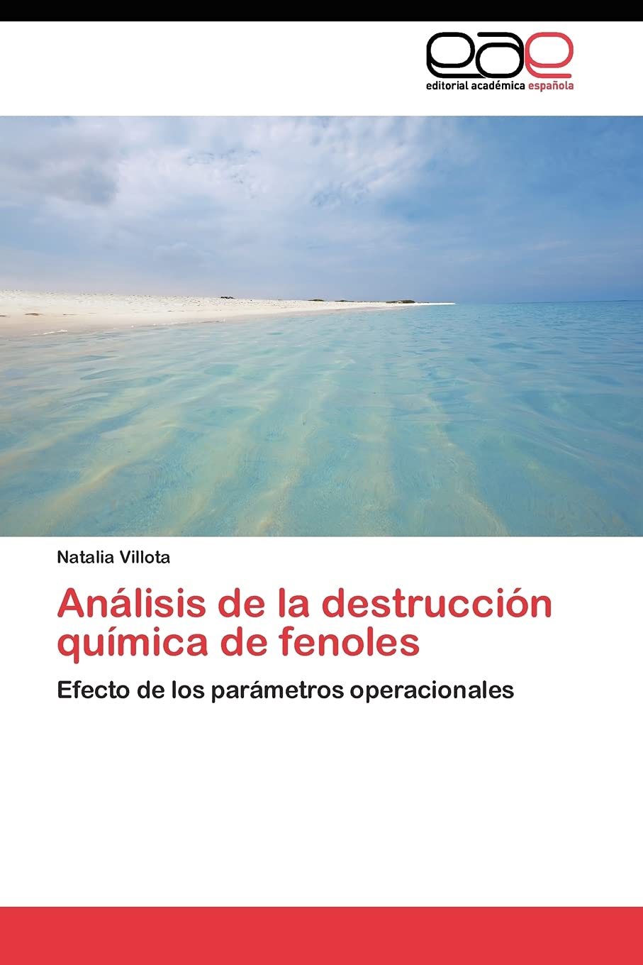 Anlisis de la destruccin qumica de fenoles: Efecto de los parmetros operacionales (Spanish Edition),Used