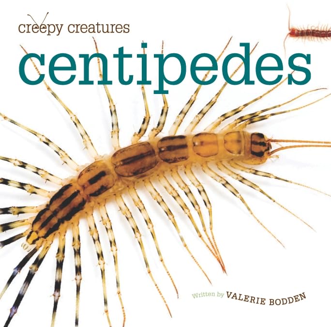 Centipedes (Creepy Creatures),Used