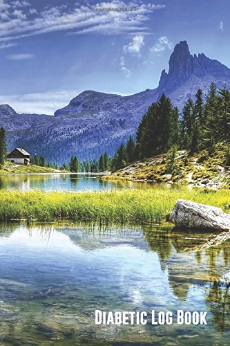 Diabetic Log Book: (Landscape) Compact 4