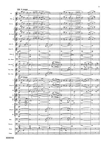 Rhythm of the Winds (Belwin Symphonic Band),Used
