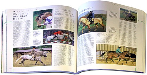 The Ultimate Encyclopedia of Horse Breeds and Horse Care,Used