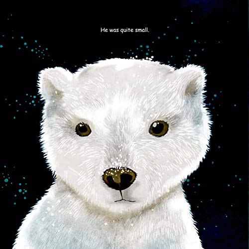 The Lonely Polar Bear (Happy Fox Books) A Subtle Way to Introduce Young Kids to Climate Change Issues; Beautifully Illustrated C,Used