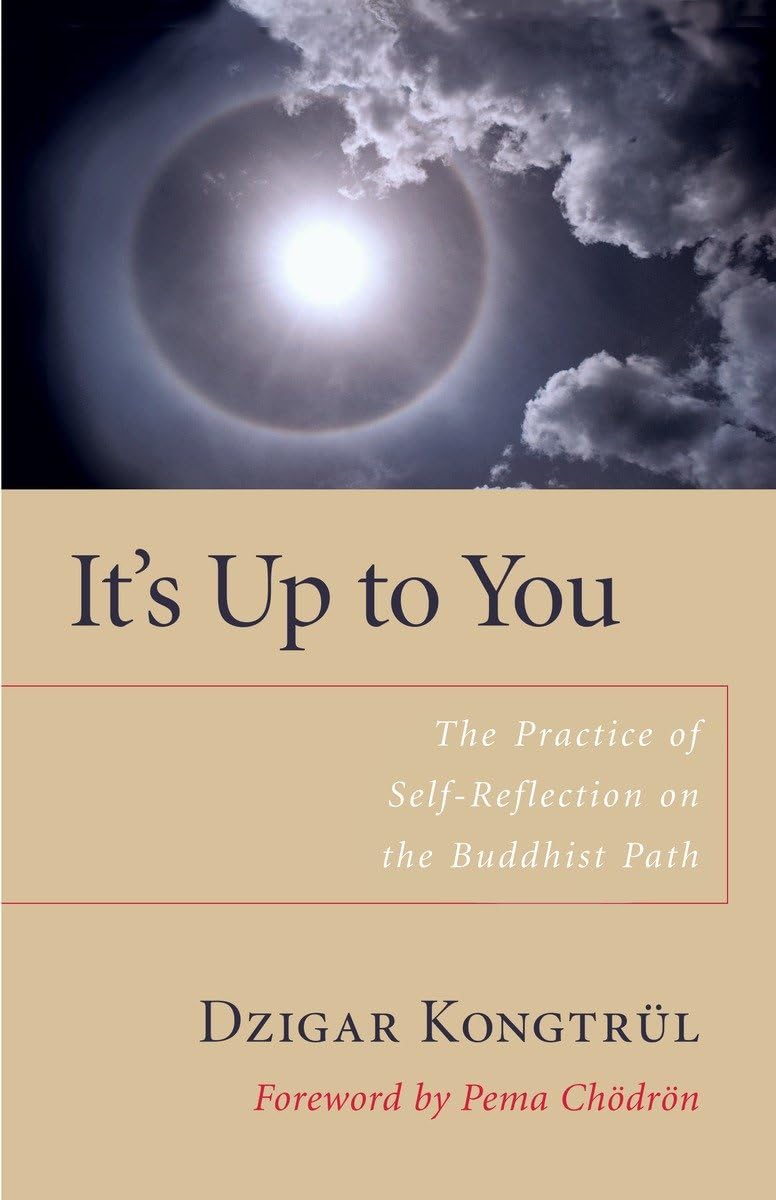 It's Up to You: The Practice of SelfReflection on the Buddhist Path,New