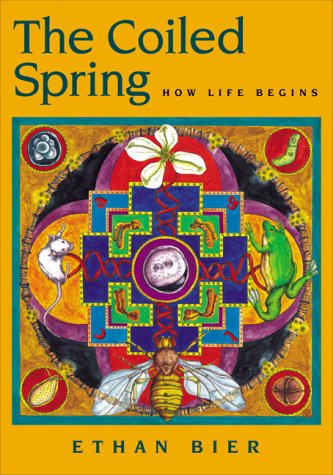 The Coiled Spring: How Life Begins,Used