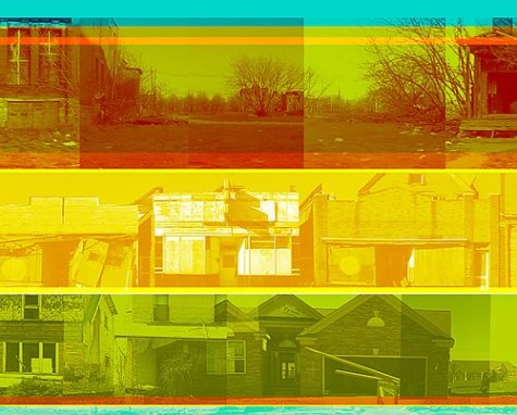 Urban Ecology: Detroit and Beyond,Used