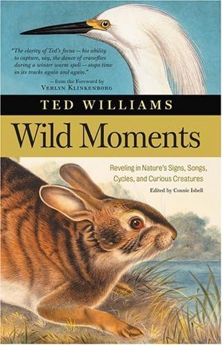 Wild Moments,New