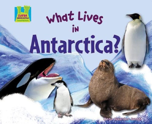 What Lives In Antarctica? (Animal Habitats)