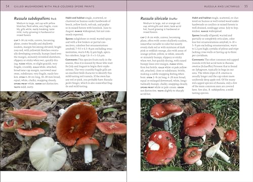 Mushrooms of the Northeastern United States and Eastern Canada (A Timber Press Field Guide),Used