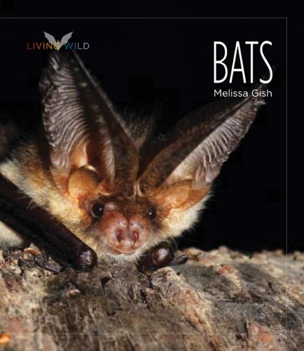 Living Wild: Bats