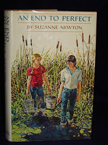 An End to Perfect,Used