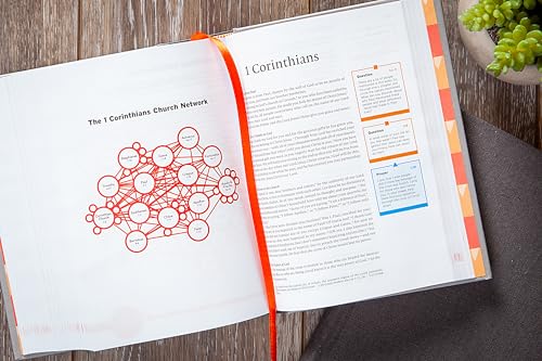 Make a Difference Youth Bible (NLT)  Empower Youth to Read Gods Word and Change the World through Christ,Used