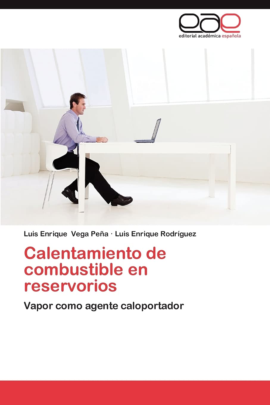 Calentamiento de combustible en reservorios: Vapor como agente caloportador (Spanish Edition),Used