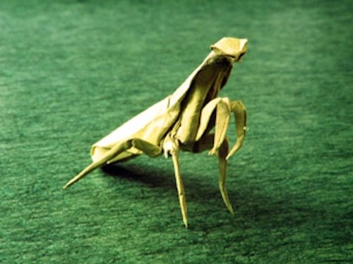 Advanced Origami: An Artist'S Guide To Performances In Paper: Origami Book With 15 Challenging Projects,Used