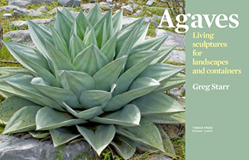 Agaves: Living Sculptures for Landscapes and Containers,Used