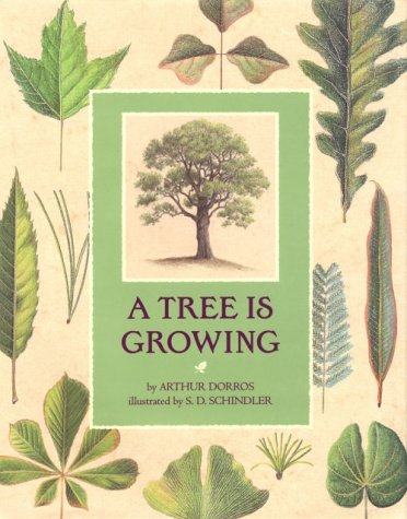 A Tree Is Growing,New