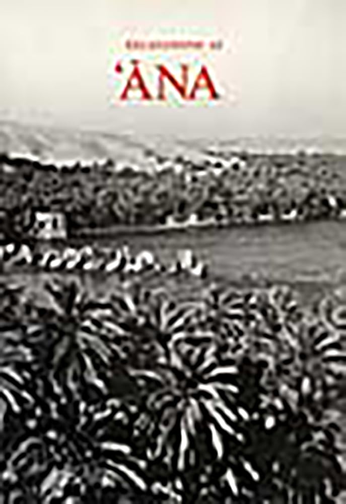 Excavations at Ana (Industrial Archaeology Review),Used