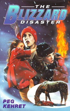 The BLIZZARD DISASTER,Used