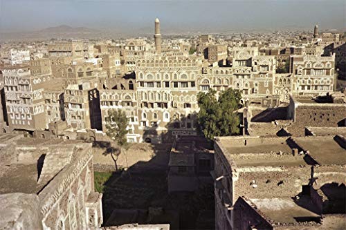 Peter Schlesinger: Eight Days in Yemen,Used