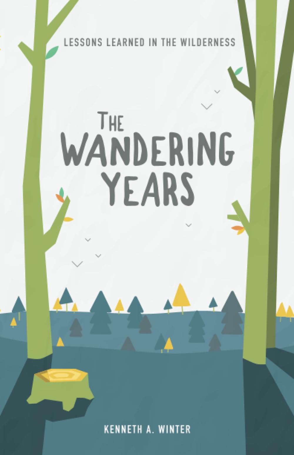 The Wandering Years: Lessons Learned In The Wilderness (Book 2),Used