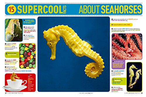 5,000 Awesome Facts (About Everything!) 2,Used
