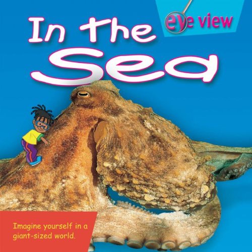 In the Sea,Used