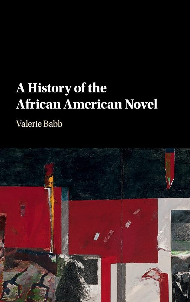 A History of the African American Novel,Used