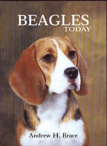 Beagles Today,Used