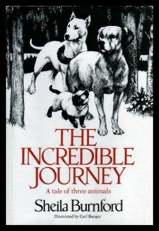 Incredible Journey,Used