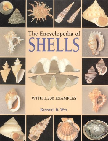The Encyclopedia of Shells,Used