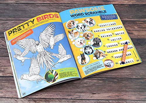 Discovery Real Life Sticker and Activity Book: Pets (Discovery Real Life Sticker Books),Used