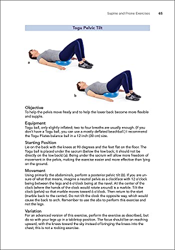 Back Exercise: Stabilize, Mobilize, and Reduce Pain,Used