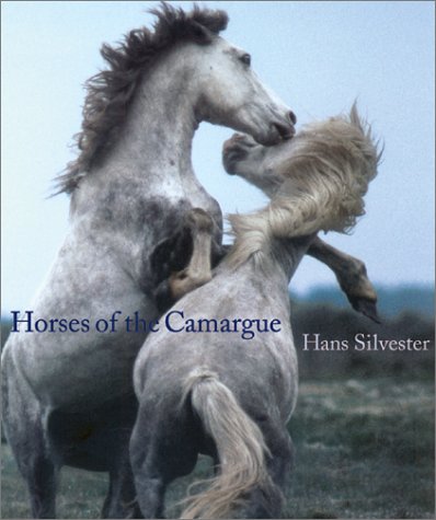 Horses Of The Camargue