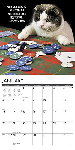 Bad Kitties 2019 Wall Calendar,Used